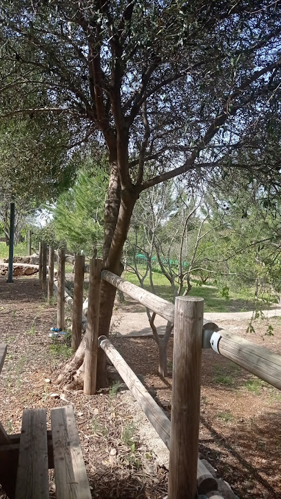 Eco Oci en Alquería de la Condesa. Parque