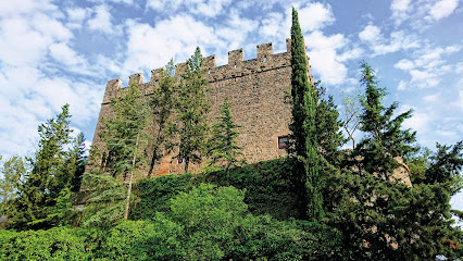 Castell de Balsareny en Balsareny. Castillo