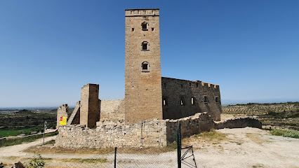 Castell de Ciutadilla en Ciutadilla. Castillo