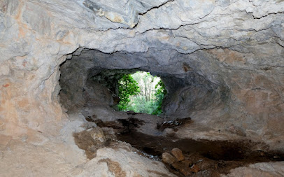 Cova del Grèvol en Capafonts. Reserva natural