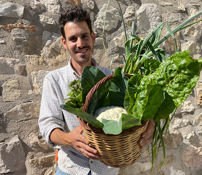 Hortus Domi en Lloseta. Huerto