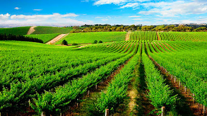 Suministros Agrícolas Luque S.L. en Montilla. Tienda de productos agrícolas