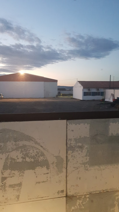 Agricultura Extraterrestre S.L. en Brenes. Mayorista de frutas y hortalizas