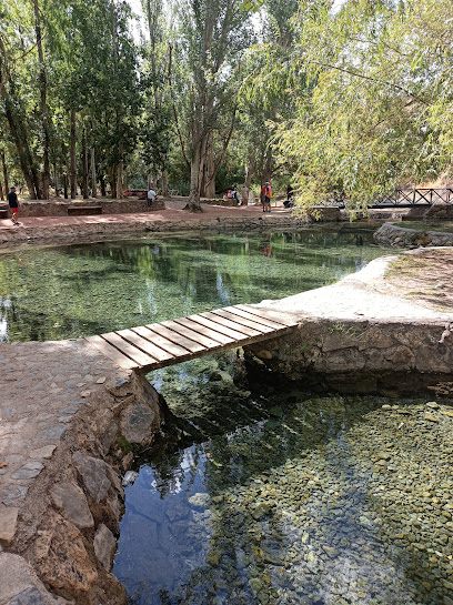 Nacimiento del Río San Juan en Castillo de Locubín. Reserva natural
