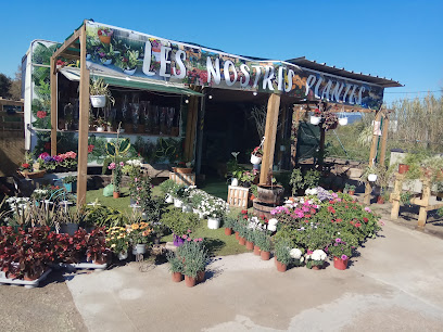 La Paradeta del Camí Ral en Viladecans. Frutería