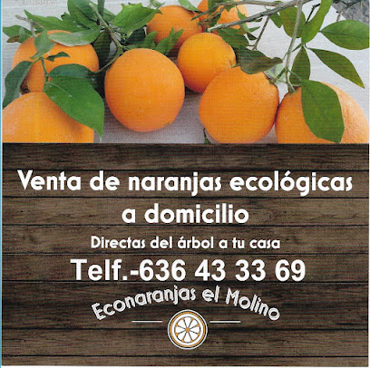 Econaranjas el Molino en Gádor. Sin categoría
