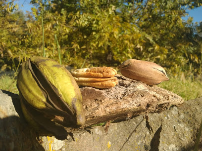 Finca Haza del Palmar en Coín. Tienda de frutos secos