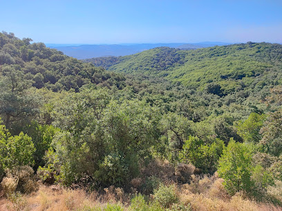Mirador 'Cerro Negrillo' en Constantina. Mirador