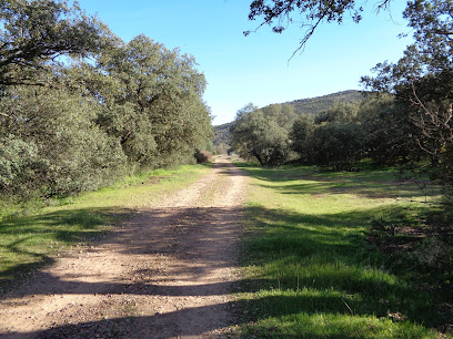 Camino Real de Sevilla en Los Yébenes. Lugar de interés histórico