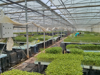Hortalizas Blanco S Coop en Villares de Órbigo. Cooperativa agropecuaria