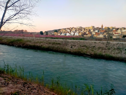Paseo Ribereño en Cieza. Parque ecológico