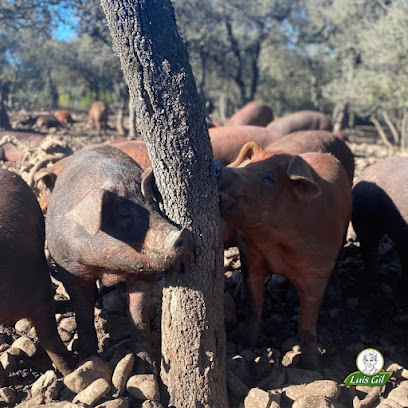 Embutidos Luis Gil S.L. en Las Ruedas de Ocón. Mayorista de carnes