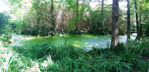 Humedal en Astigarraga. Parque ecológico