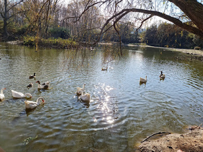 Balsa de los Patos en La Roca del Vallès. Parque