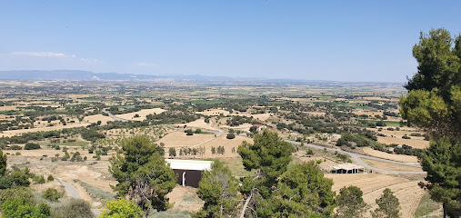 Albergue De Peregrinos y Turismo rural De Berbegal en Berbegal. Casa rural