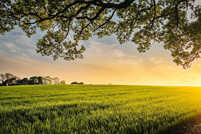 Ecovegalia