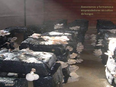 Setacor en Villafranca de Córdoba. Tienda de alimentos orgánicos