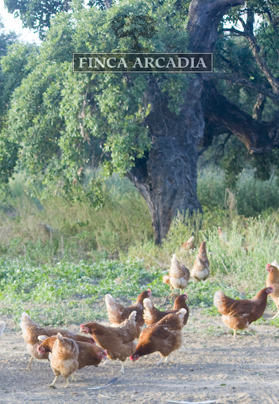 Finca Arcadia en Jerez de la Frontera. Tienda de alimentos naturales