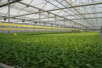 TecnoBioPlant