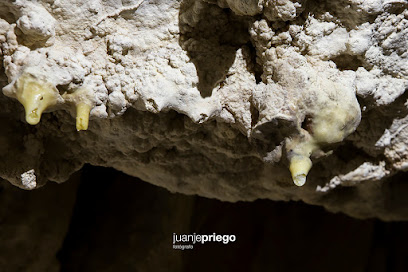 Cueva de los Murciélagos en Zuheros. Atracción turística