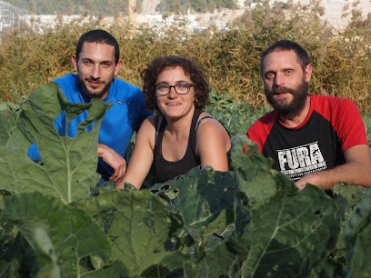 Hort del Navarro en Súria. Tienda de productos orgánicos
