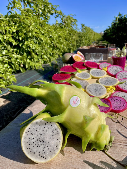 MAGMI en Daimús. Mayorista de frutas y hortalizas