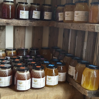 Miel Báguena. en Báguena. Tienda de alimentación