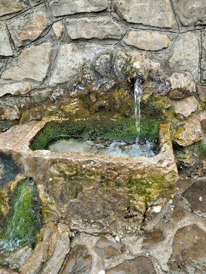 Nacimiento De Rio Frio en Los Villares. Reserva natural