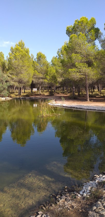 El Plano en Sax. Parque nacional