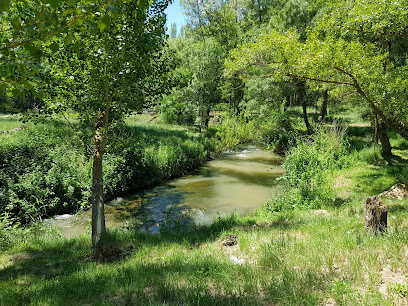 El Tejar. en Arcos de Jalón. Parque
