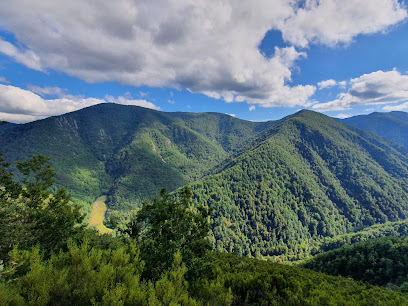 Muniellos en Omente. Parque nacional