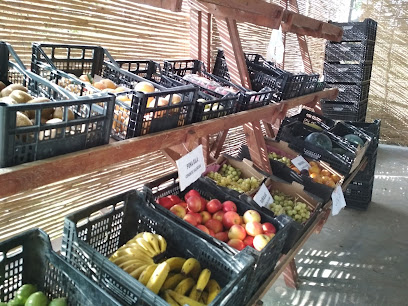 Tienda Ecológica - Silvestre Agricultura Ecológica en Valencia. Tienda de alimentos naturales