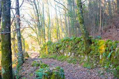 Carqueixal en Creciente. Parque ecológico