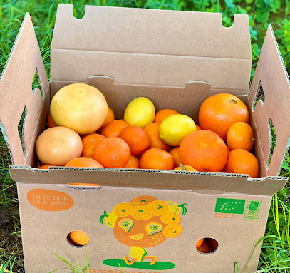 Naranjas Ecológicas en Carcaixent. Comercio