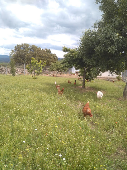 Granja Las Tejas en El Tejado de Béjar. Granja avícola