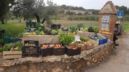 La Piotxa Sccl Productors Agroecològics en Cubelles. Mayorista de verduras