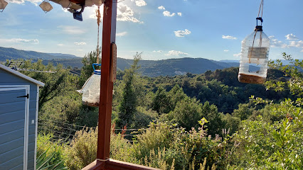 Camping Puig-reig en Cal Ponç. Sin categoría