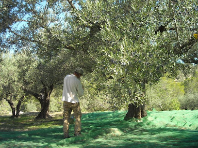 Finca De Los Padres en El Perelló. Granja orgánica