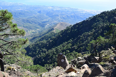 Paraje Natural Los Reales de Sierra Bermeja en Estepona. Reserva natural