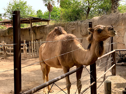 Terra Natura Benidorm en Benidorm. Zoo
