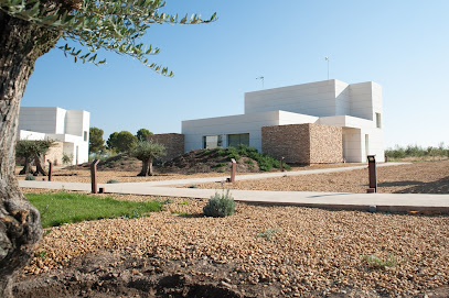 Finca Luz de Alba-Alojamientos turísticos en Argamasilla de Alba. Sin categoría