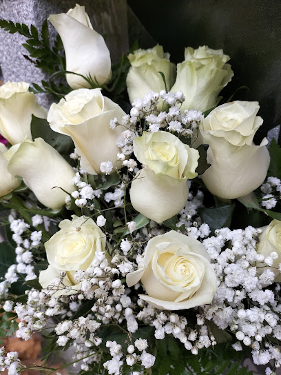Zizur Jardín en Zizur Mayor. Floristería