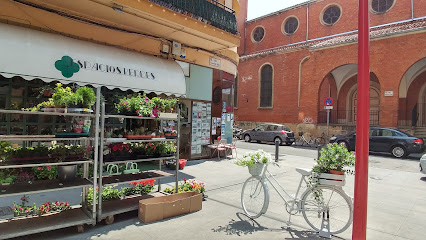 Floristería Espacios Verdes en Miranda de Ebro. Floristería