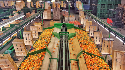 La Nulera en Nules. Comercio