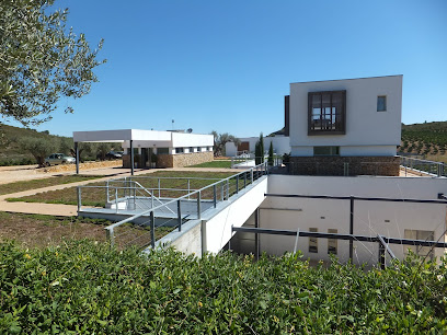 BODEGA MAS DE RANDER en Torreblanca. Bodega