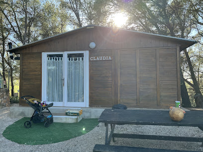 Camping Santes Creus en Aiguamurcia. Camping