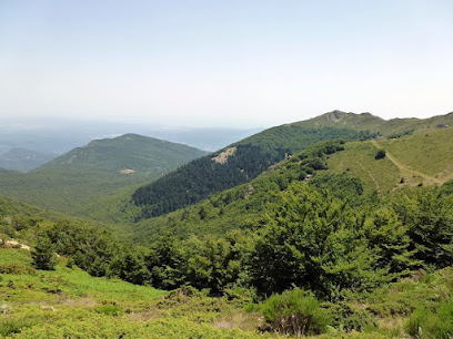 Parque natural del Montseny en Mosqueroles. Parque