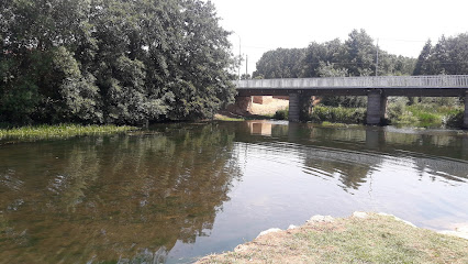 Orillas del R.Tuerto