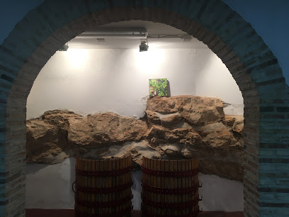 Bodega Amadís de Yébenes en Miguel Esteban. Bodega
