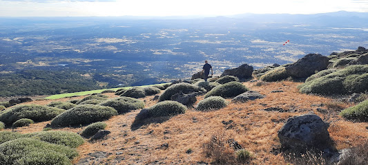 Pico pitolero en Cabezabellosa. Zona de senderismo